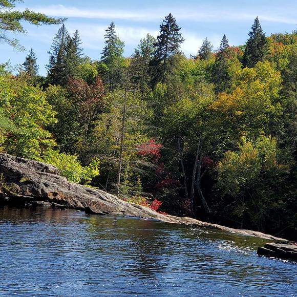 Meet your Posher, Brenda - Picture 1 of 1